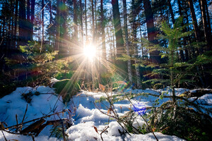 Чего ждать от погоды в последний месяц зимы: прогноз на февраль от Укргидрометцентра